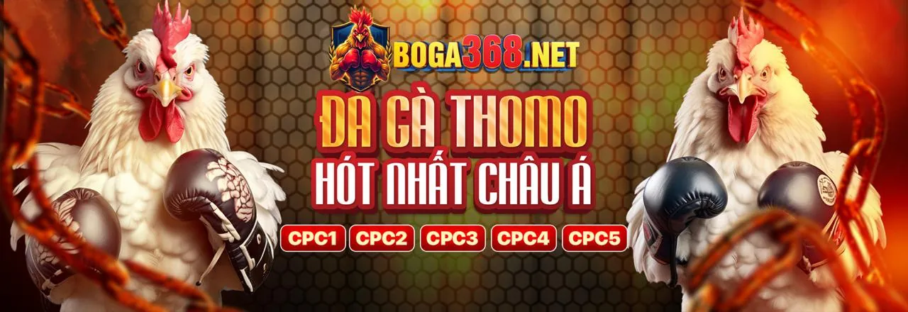 Đá Gà Trực Tiếp 6789bet App