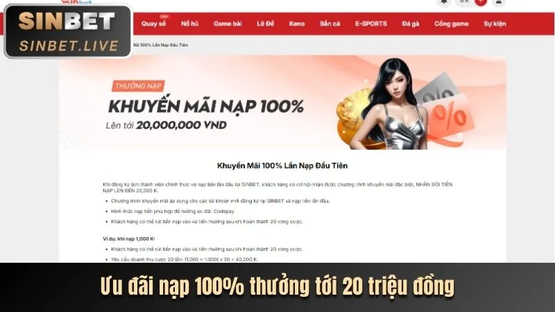 Nền tảng cá cược công bằng và được cấp phép